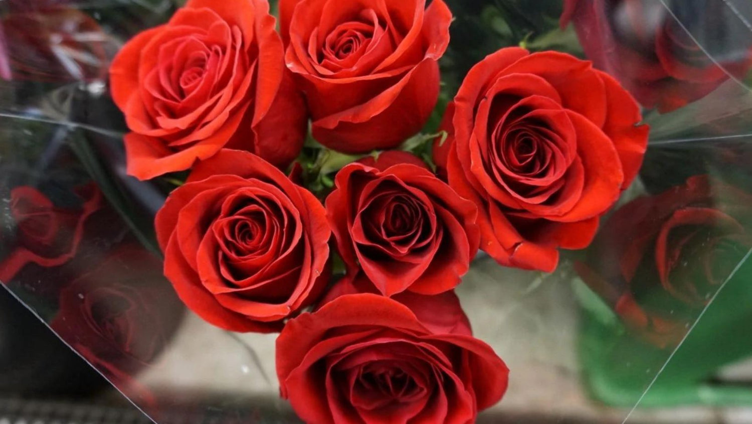 Seasonal & Fresh Cut Flowers