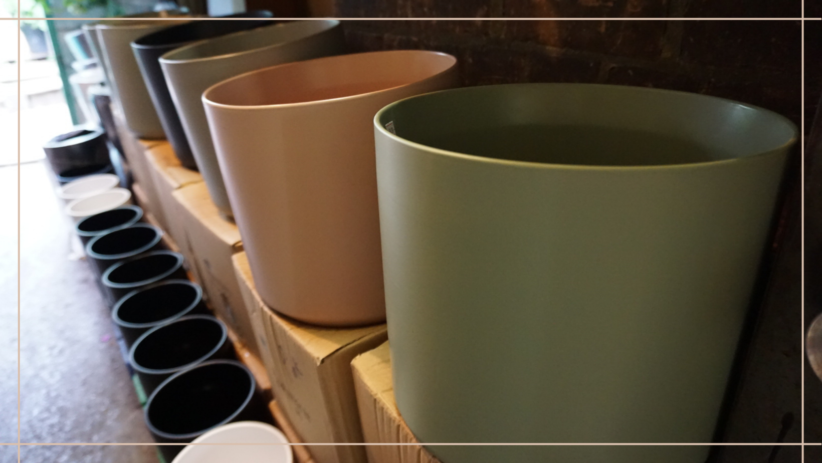 New Pots and Vases Queens Fruit Market & Plants