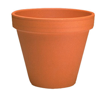 Claypot Standard