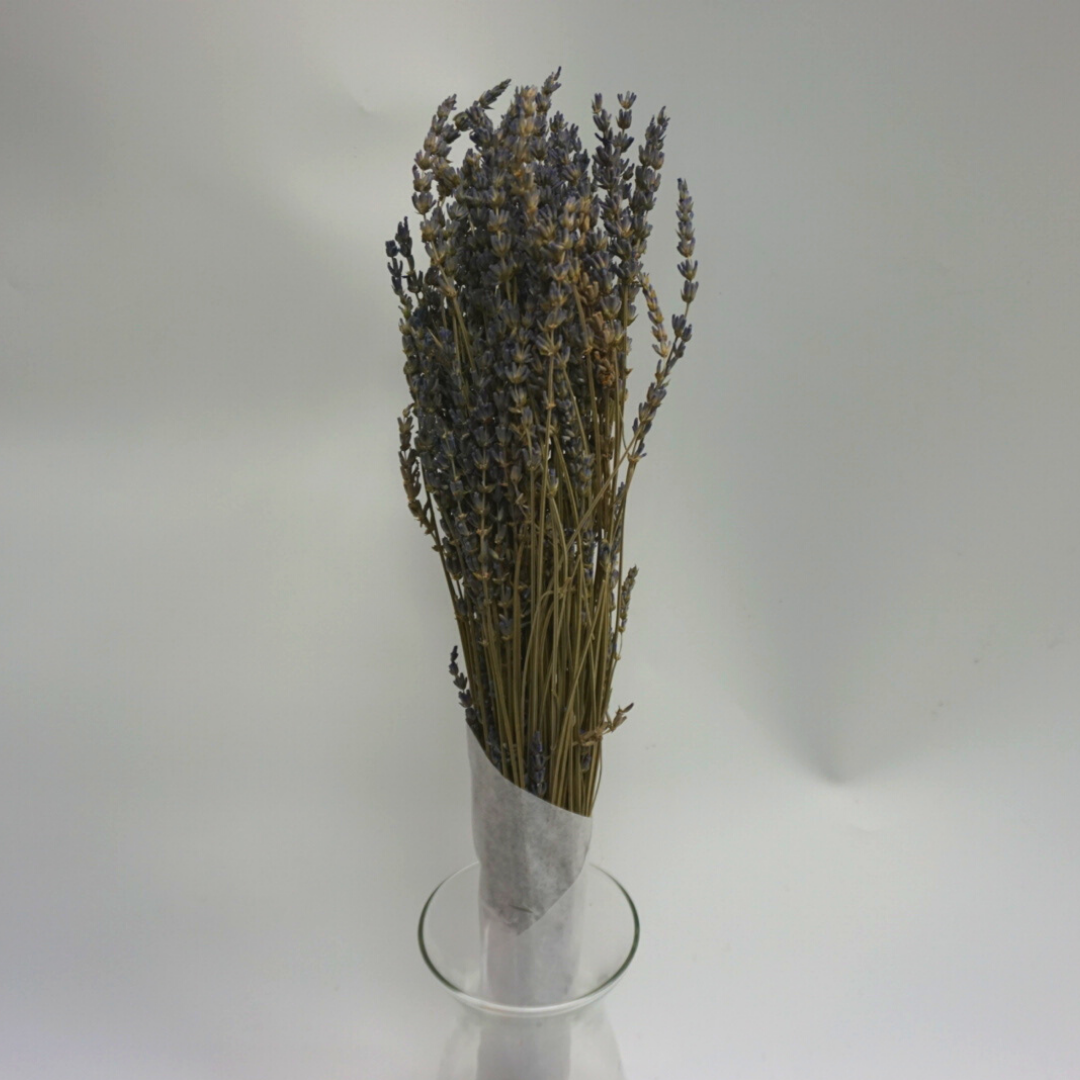 Dry Lavender Large (Bunch)